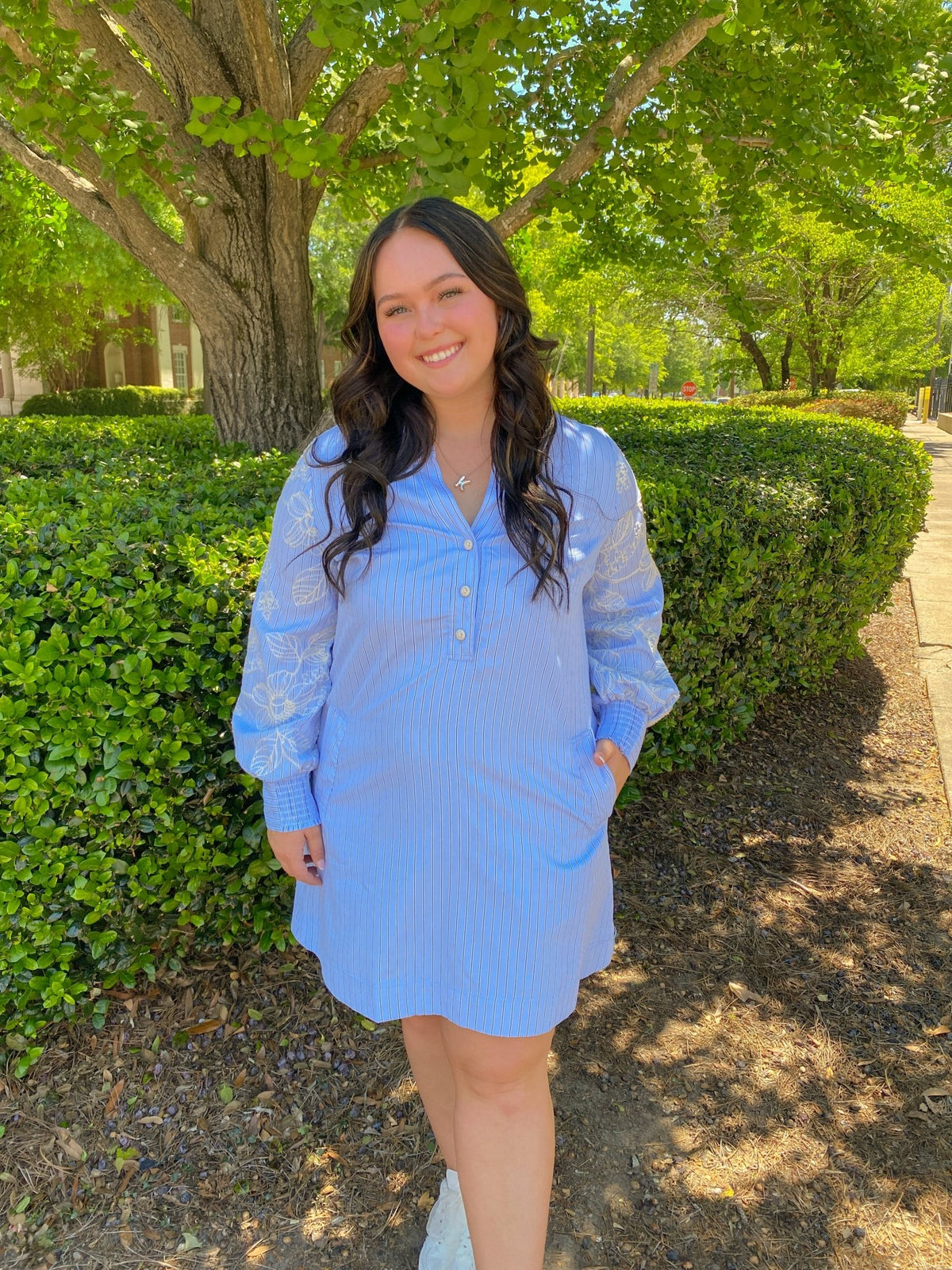 Blue Embroidered Sleeve Striped Shift Dress | Current Air