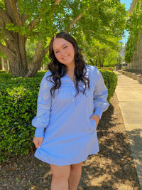 Blue Embroidered Sleeve Striped Shift Dress | Current Air