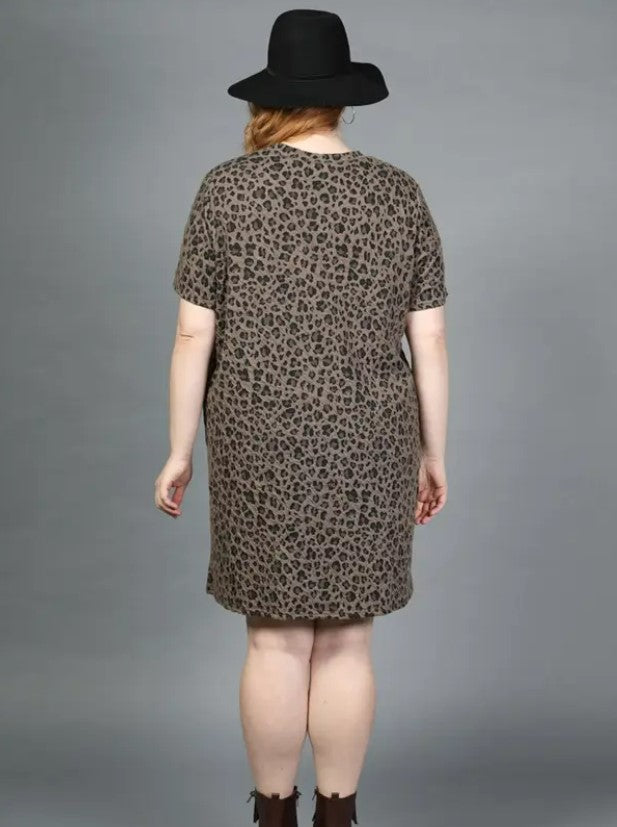 Brown Short Sleeve Crew Neck Leopard Print Knit Dress Sissy Boutique